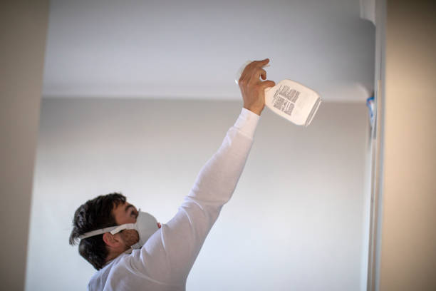 Best Local Mold Removal Service  in Emerald Bay, TX