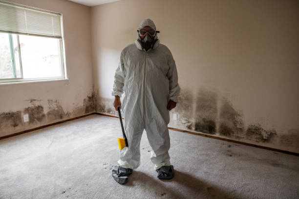 Best Commercial Mold Removal  in Emerald Bay, TX